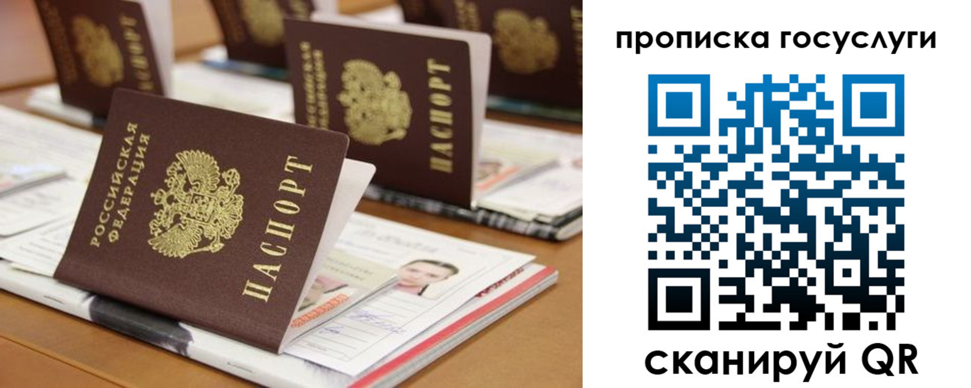 регистрация для дет. сада в Старой Руссе